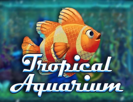 Tropical Aquarium